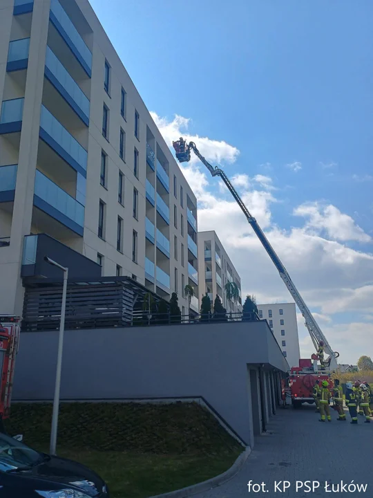 Strażacy ćwiczyli  na terenie bloków przy ul. Kresów Wschodnich  w Łukowie - Zdjęcie główne