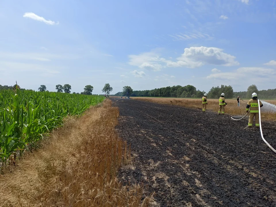 Pożar zboża gmina Serokomla