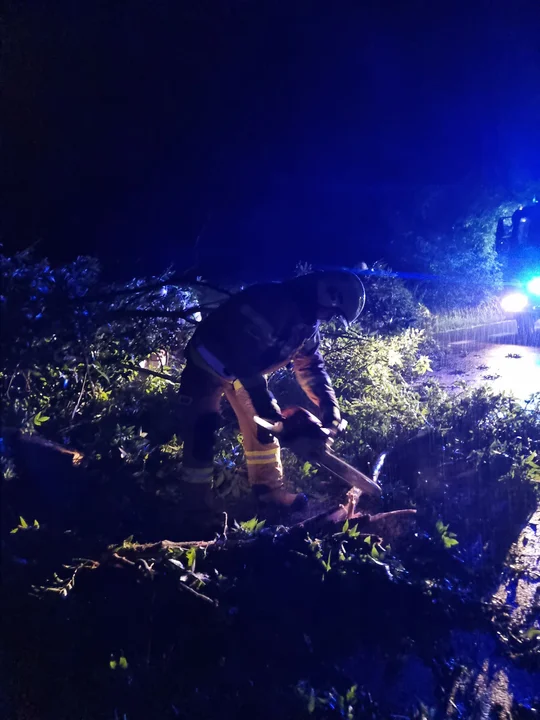 Wyjazd do powalonego drzewa na trasie Adamów - Konorzatka