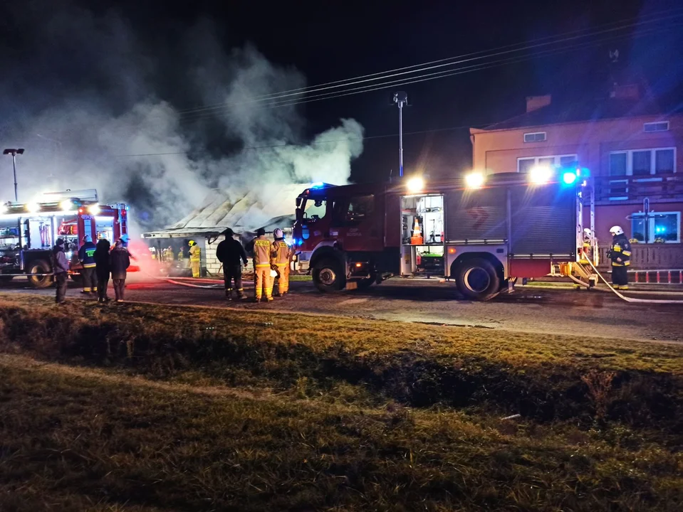 Tragedia w Idalinie: W nocy spłonął dom. Są ofiary śmiertelne (ZDJĘCIA) - Zdjęcie główne