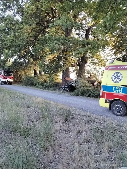 Powiat radzyński: Samochód uderzył w drzewo. Kierująca chciała wyminąć sarnę