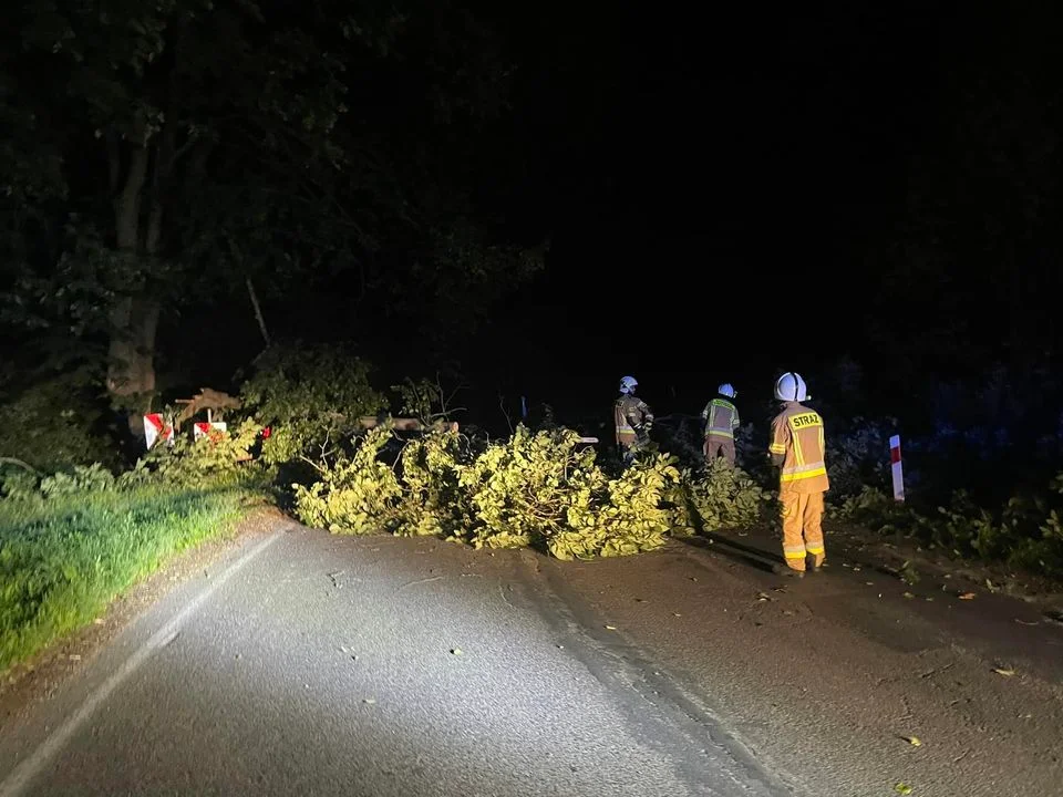 Nocna burza w regionie. Powalone drzewo na drodze wojewódzkiej. Interweniowali strażacy - Zdjęcie główne