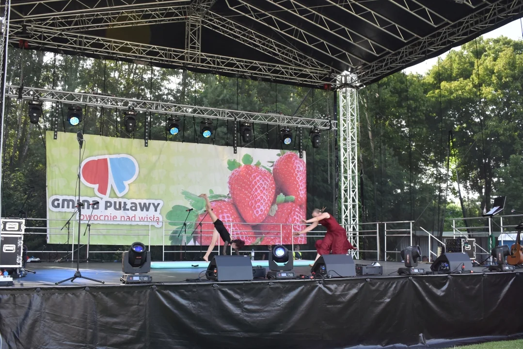 Truskawkobranie 2025 w Górze Puławskiej