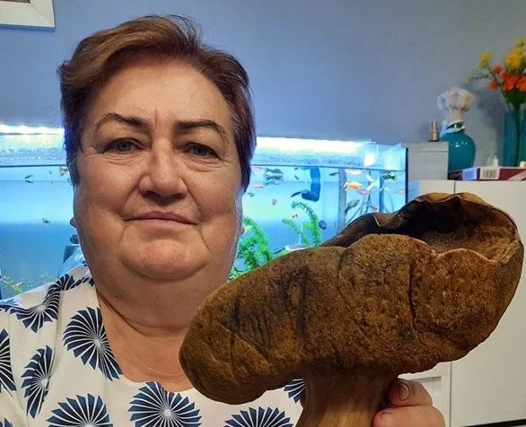 Ale okaz!!! Pani Hania z Krzywdy znalazła grzyba, który ważył ponad 1 kg!!! - Zdjęcie główne