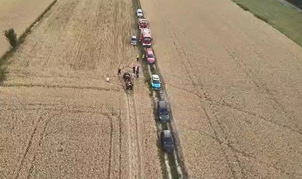 Gm. Tomaszów Lubelski: Poszli do lasu z dzieckiem, stracili 3,5-latka z oczu. Koniec poszukiwań dziecka