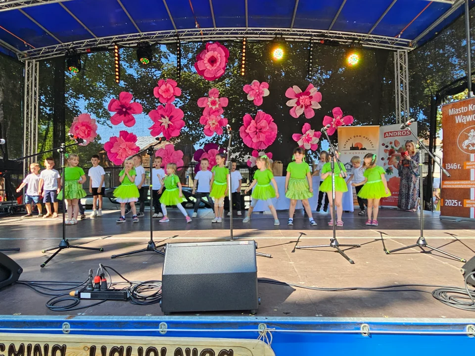 Dni Wąwolnicy - II Dzień (galeria)