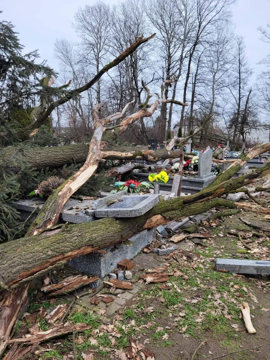 Wilków: Cmentarz zniszczony po silnym wietrze