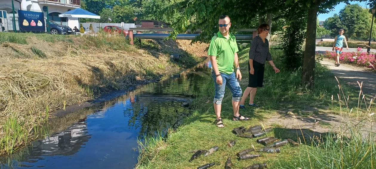 BIG JUMP w powiecie łukowskim. Aktywiści i ekolodzy ratują rzeki