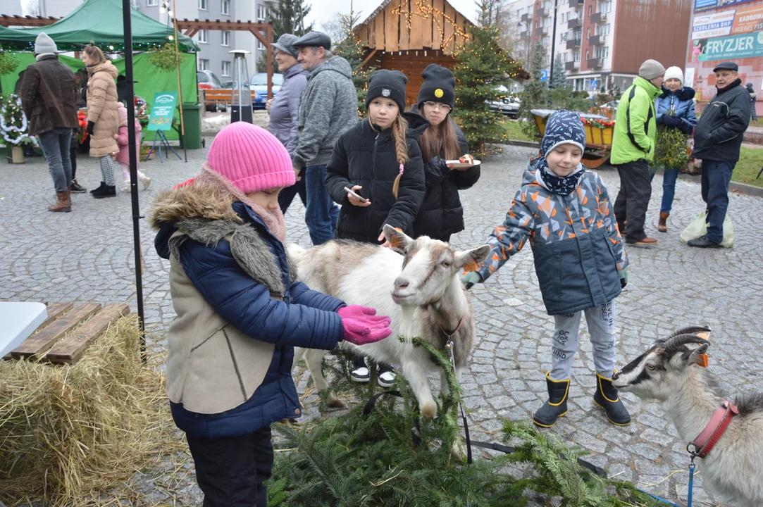 Poniatowa: Jarmark Bożonarodzeniowy i Wigilia Miejska (ZDJĘCIA) - Zdjęcie główne