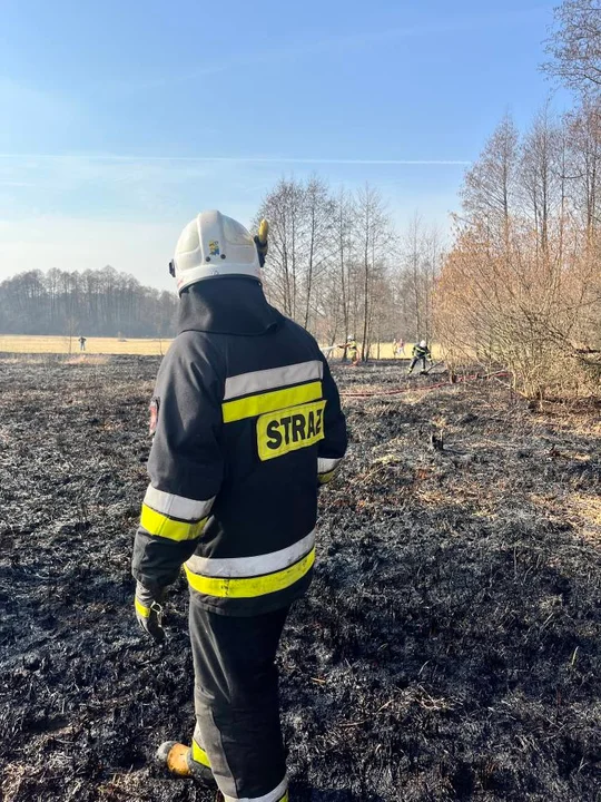 Powiat łukowski: Pracowita niedziela strażaków. OSP  Stanin gasiło dwa pożary