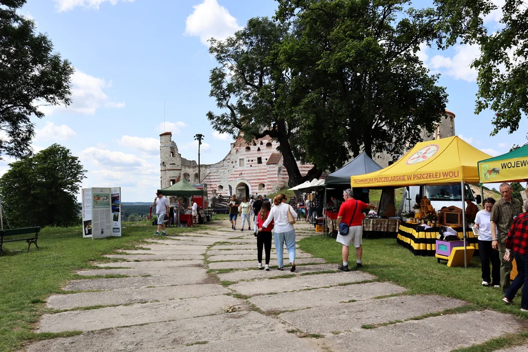 Janowiec: Za nami III Festiwal Kultury Pszczelarskiej - Zdjęcie główne