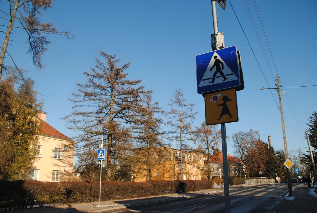 Opole Lubelskie: Przejścia dla pieszych doświetlone (ZDJĘCIA) - Zdjęcie główne
