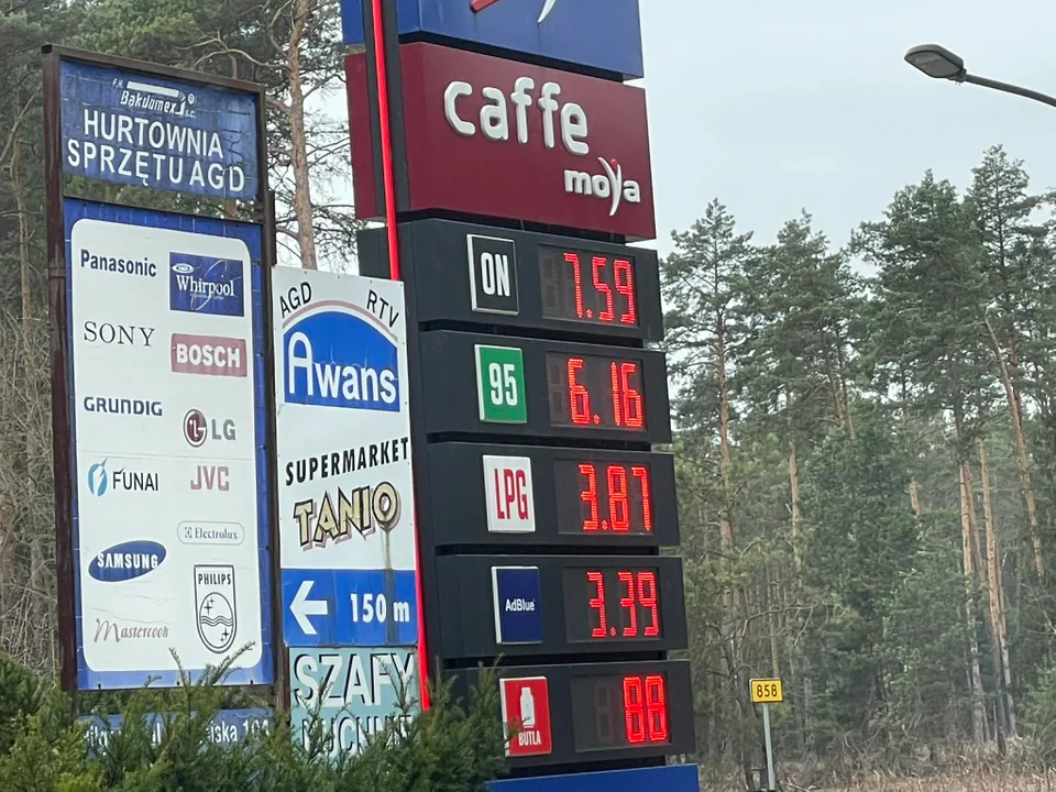 Ceny paliw w Biłgoraju