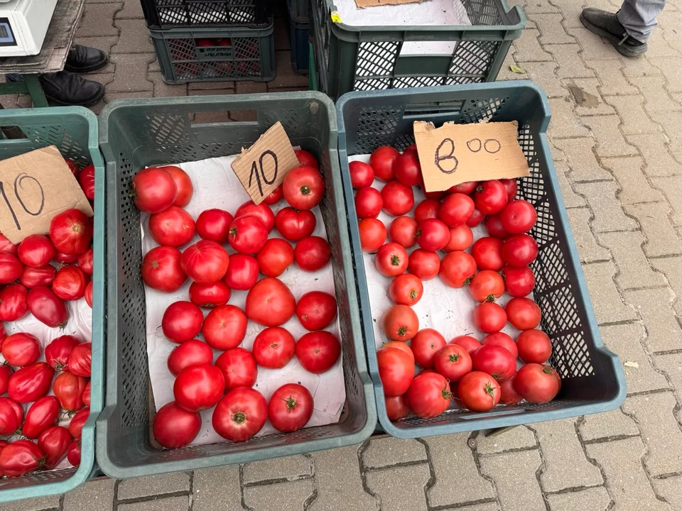 Targ Lubartów 21 sierpnia