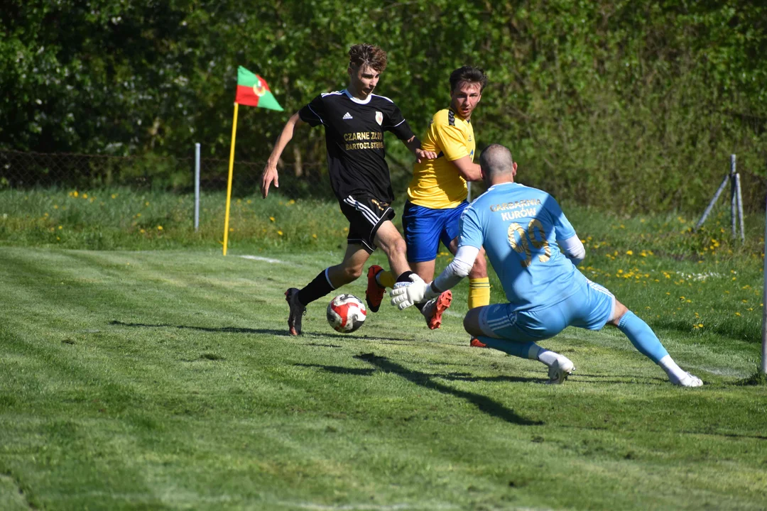 Garbarnia Kurów - Polesie Kock