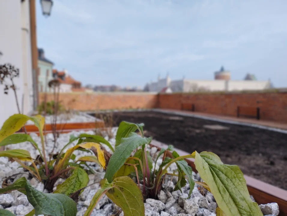 Lublin: Skwer na Starym Mieście przeszedł metamorfozę