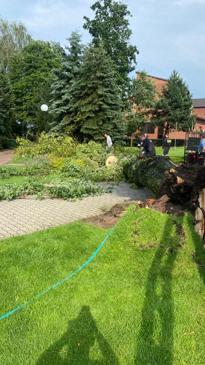 Drzewo Upadło na Plac Kościelny w Stoczku Łukowskim