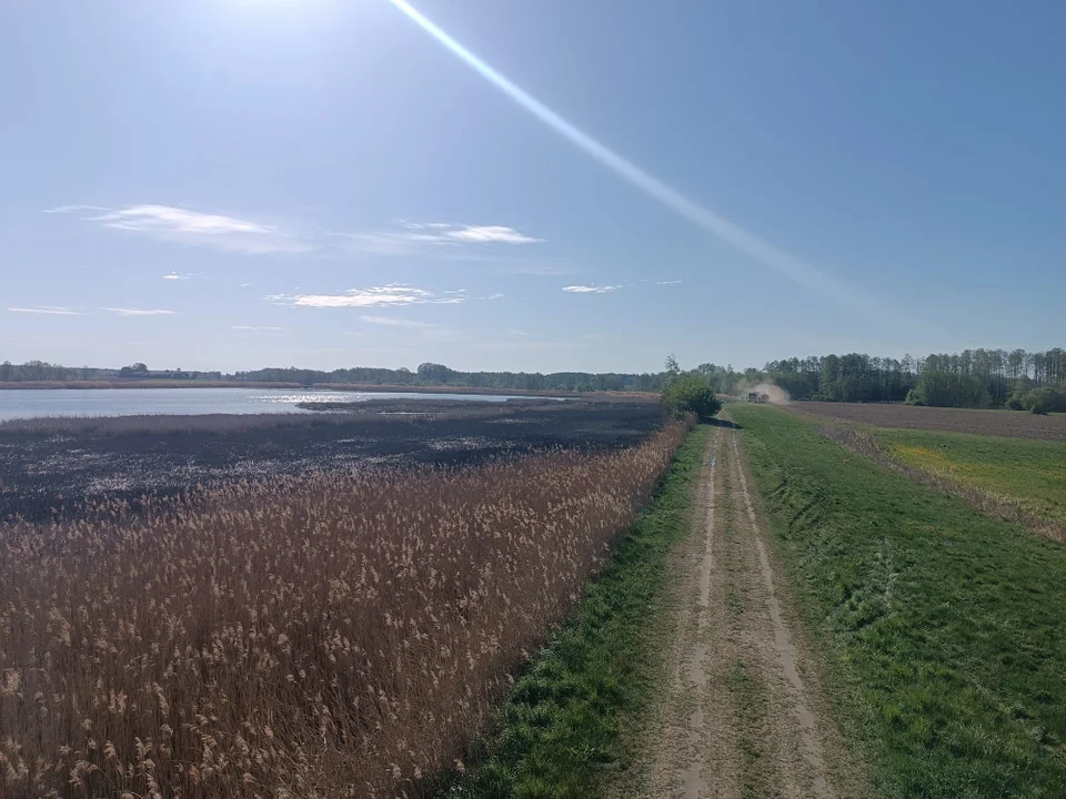 Pożar trzcinowisk
