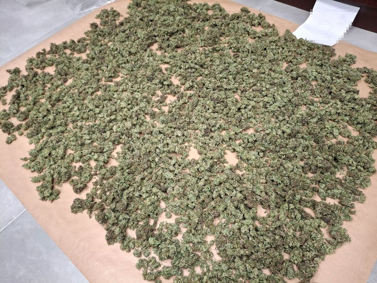 Areszt dla 41-latka. Lubelska policja znalazła broń i blisko 3 kg marihuany