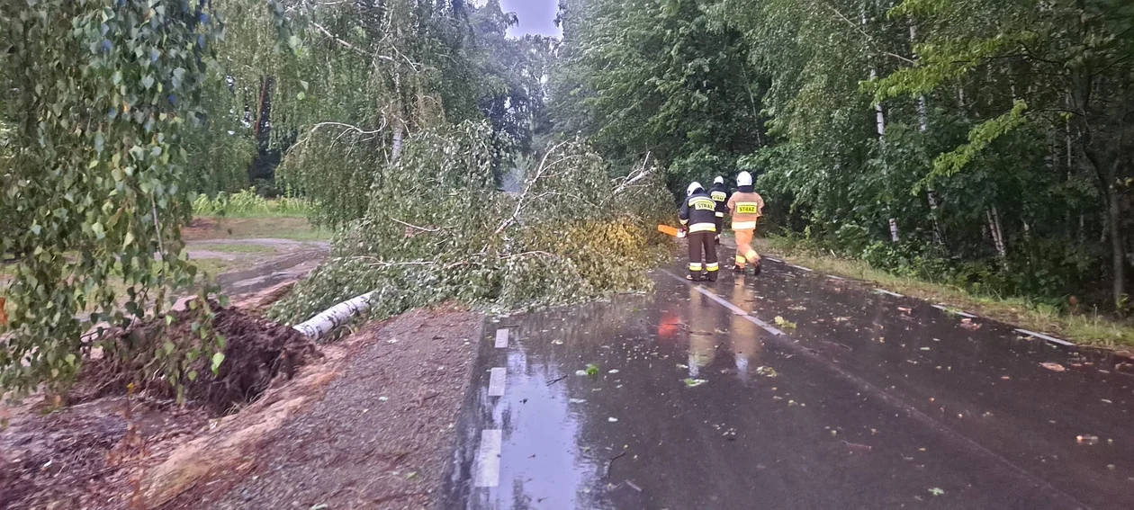 Strażacy z Charlejowa usuwali powalone drzewa