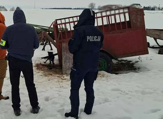 Lubelskie: Małżeństwo zgotowało piekło 16 psom. Zaniedbane wygłodzone i w fatalnych warunkach