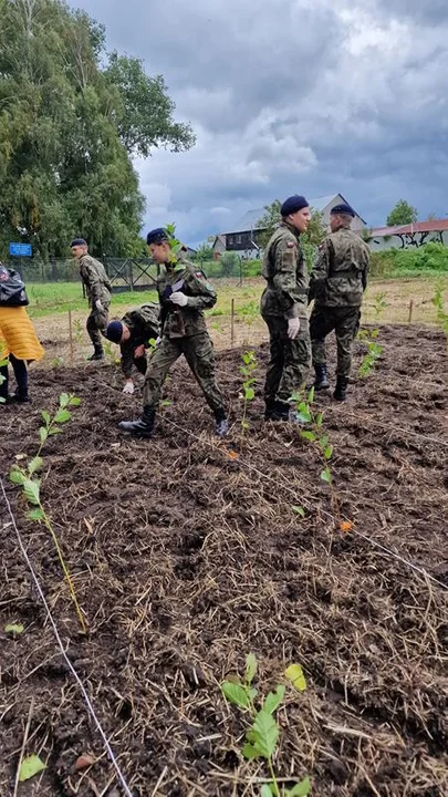 Sprzątanie w ramach akcji "Czysta Polska"