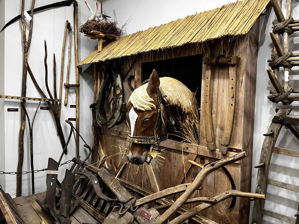 Imię dla klaczy w Muzeum