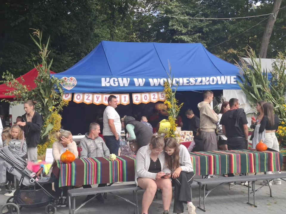 Dożynki Wojcieszków #3