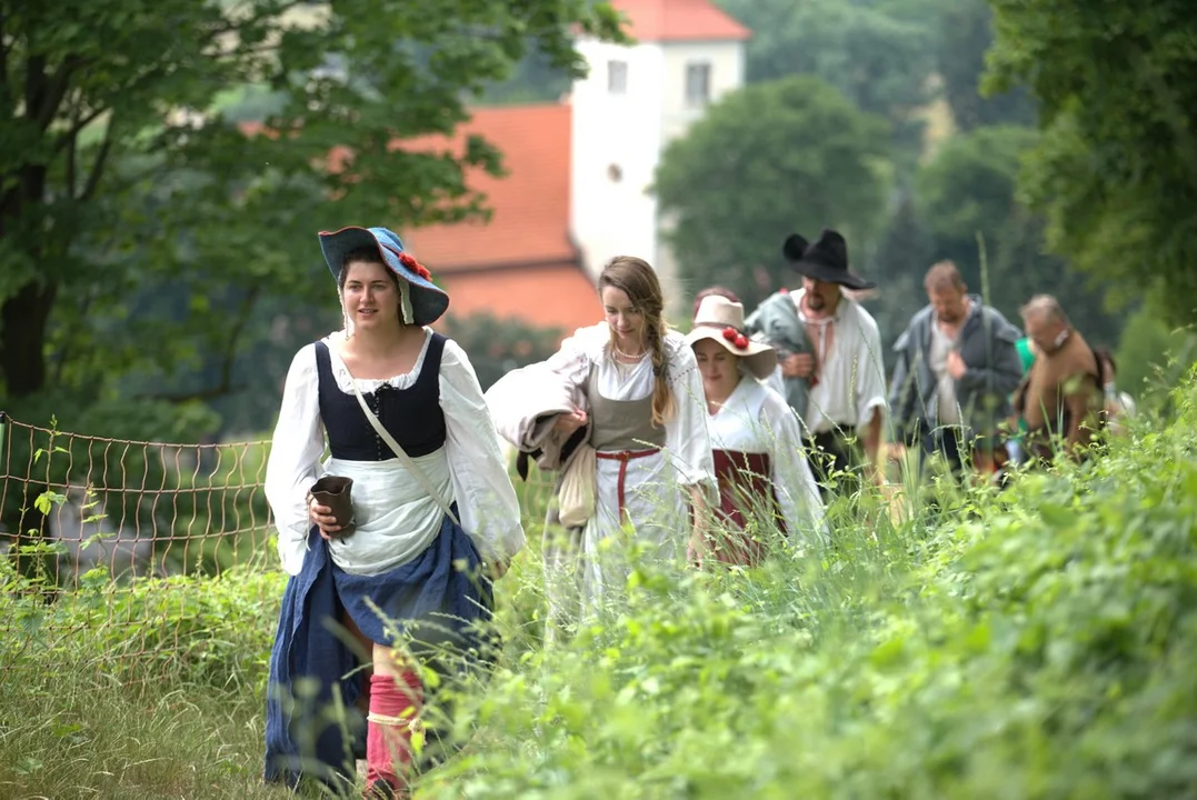 Piknik rycerski w Janowcu