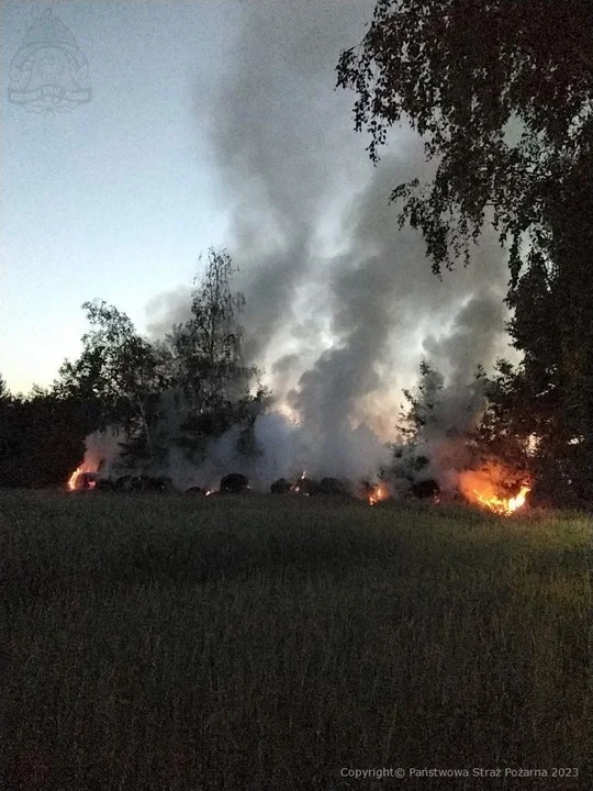 Powiat radzyński: Na polu paliły się bele słomy. Ogień gasiło kilka zastępów straży pożarnej