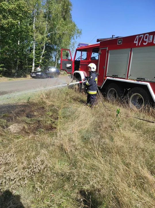 Gmina Adamów. Pożar nieużytków w Kalinowym Dole