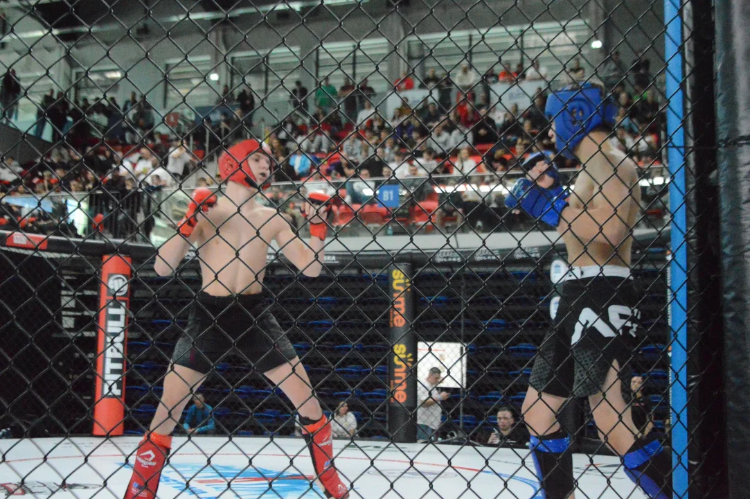 10. Mistrzostwa MMA w Puławach (zdjęcia)