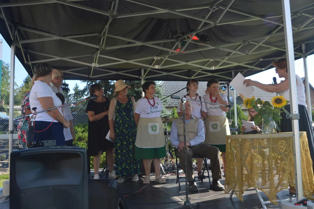 Mieszkańcy Parchatki bawili się na pikniku rodzinnym (zdjęcia) - Zdjęcie główne