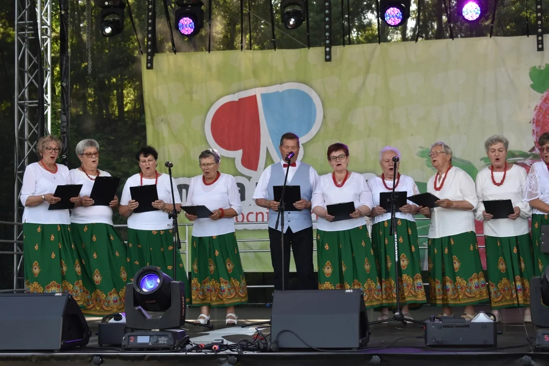 Truskawkobranie 2025 w Górze Puławskiej