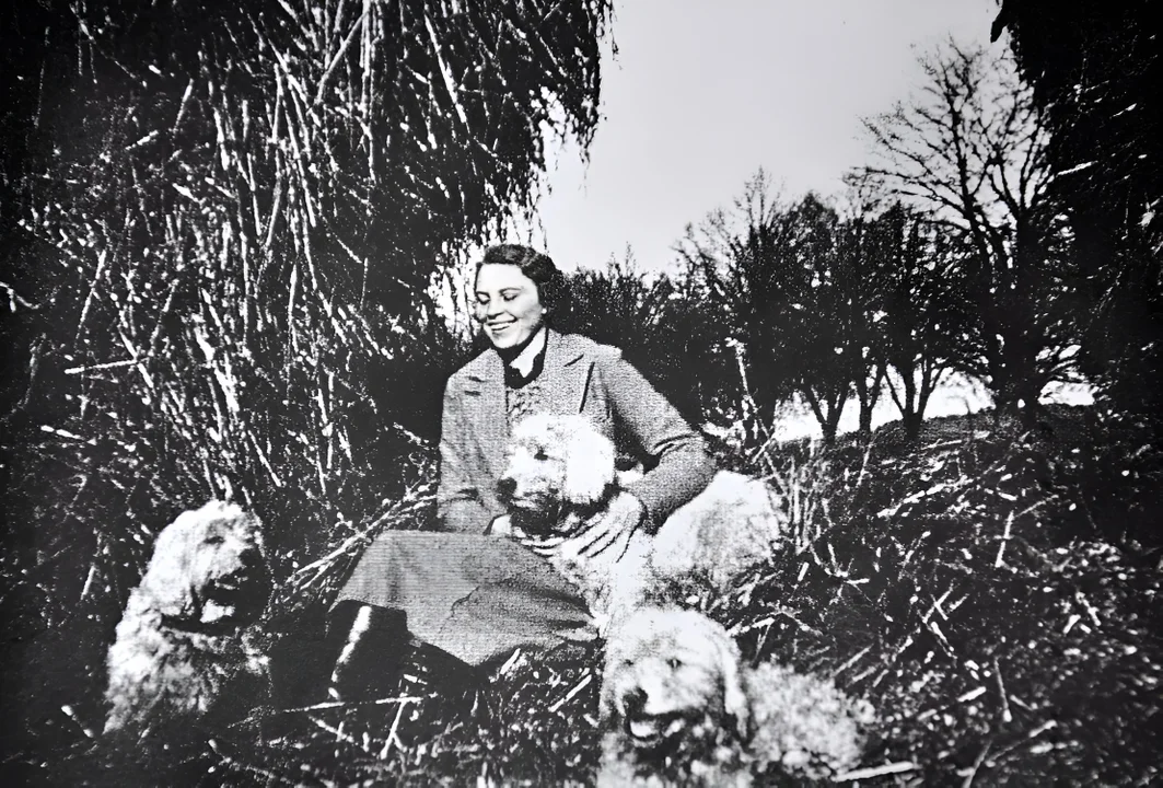 Patron szkoła Zwierzyniec