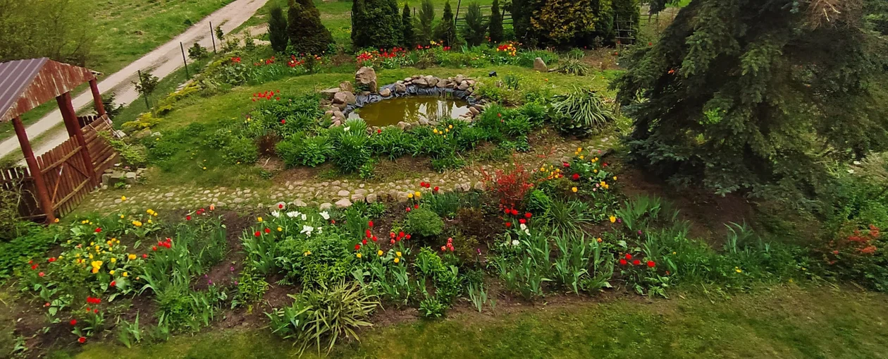 Ogród pani Bożeny Winiarskiej z Nasiłowa (gm. Janowiec)