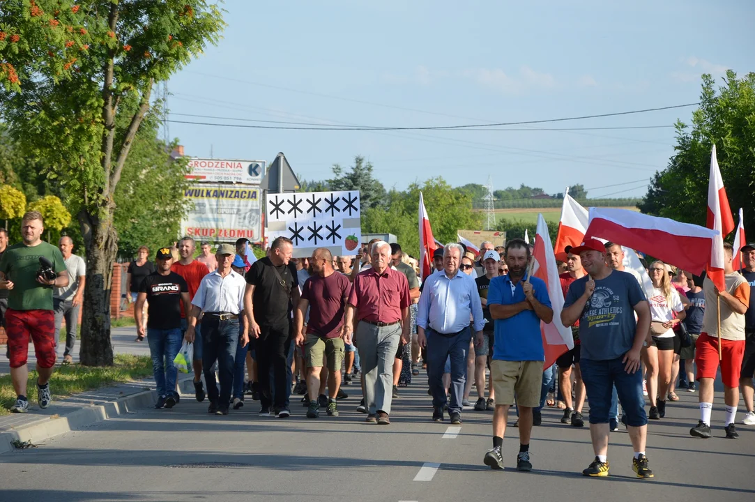 Opole Lubelskie: Producenci malin nie dają za wygraną (ZDJĘCIA) - Zdjęcie główne