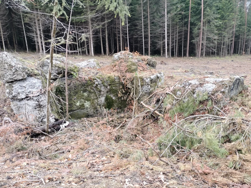 Lubelskie: Historyczna niespodzianka. Budowa ekspresówki odsłoniła bunkier z czasów wojny