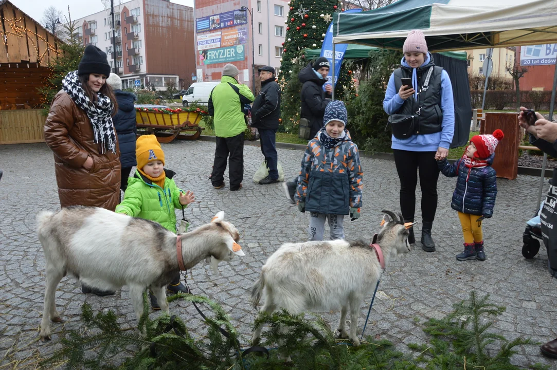 Jarmark Bożonarodzeniowy w Opolu Lubelskim