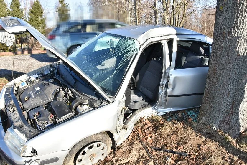 Powiat bialski: Samochód wpadł w poślizg i uderzył w drzewo - Zdjęcie główne