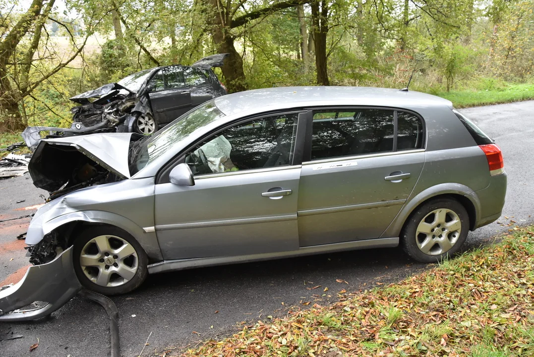 Województwo lubelskie: Opel czołowo zderzył się z Renault. Trzy osoby w szpitalu