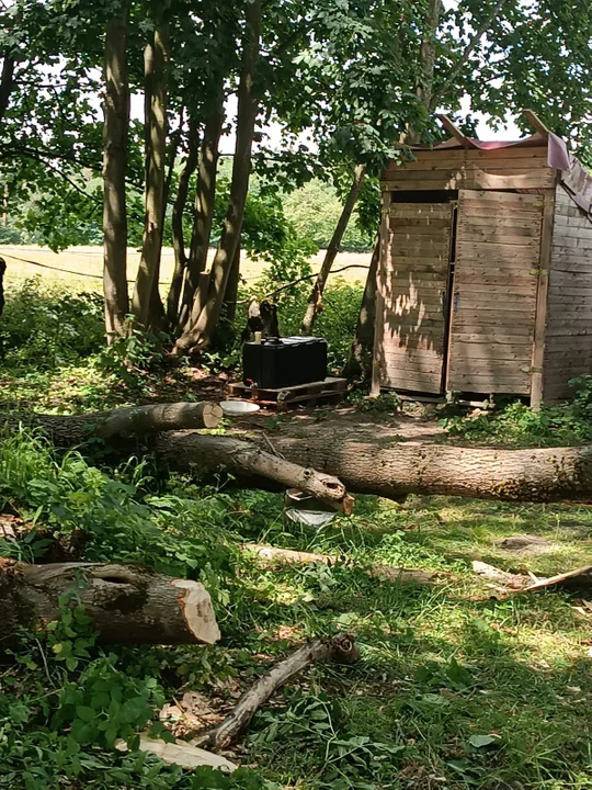 Burze nad Lubelszczyzną. Strażacy ewakuowali obozy harcerskie