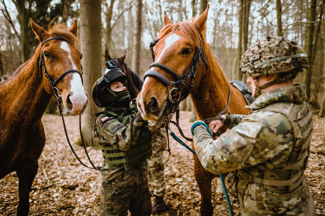 Terytorialsi z lubelskiej brygady przeszli szkolenie konne. Wspólnie z Brytyjczykami