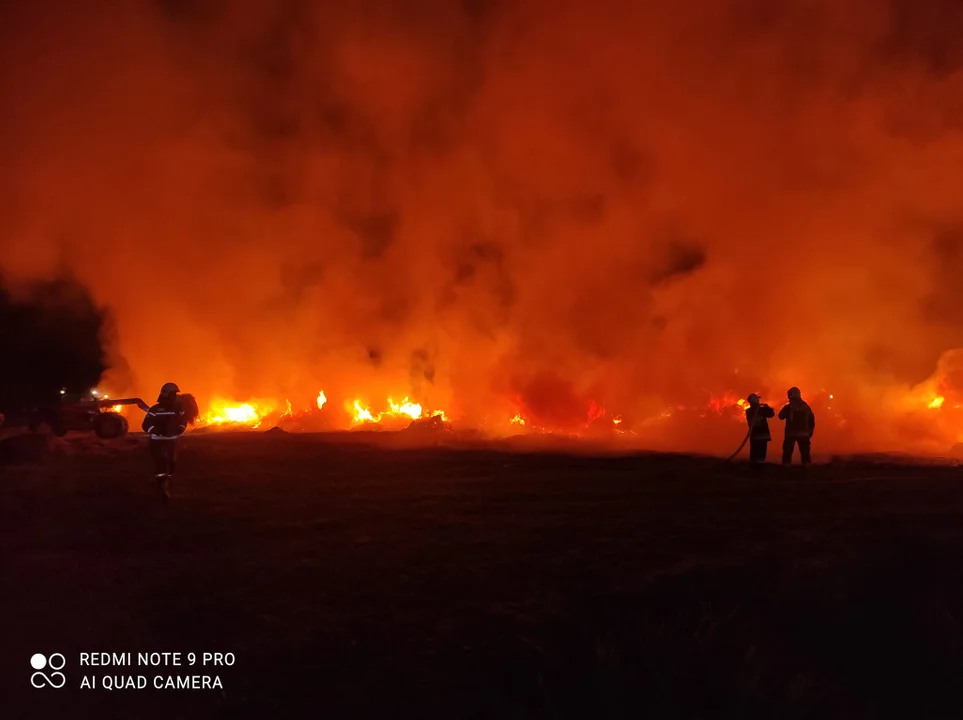 Spaliło się 200 bel słomy na polu (zdjęcia) Gasili je zawodowi strażacy i OSP z gminy Wola Mysłowska - Zdjęcie główne