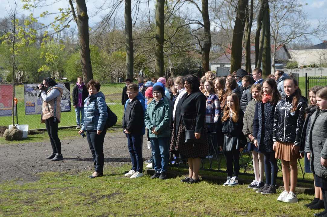 Gm. Puławy: Pamiętając o dawnym nauczycielu zasadzili drzewo (galeria)