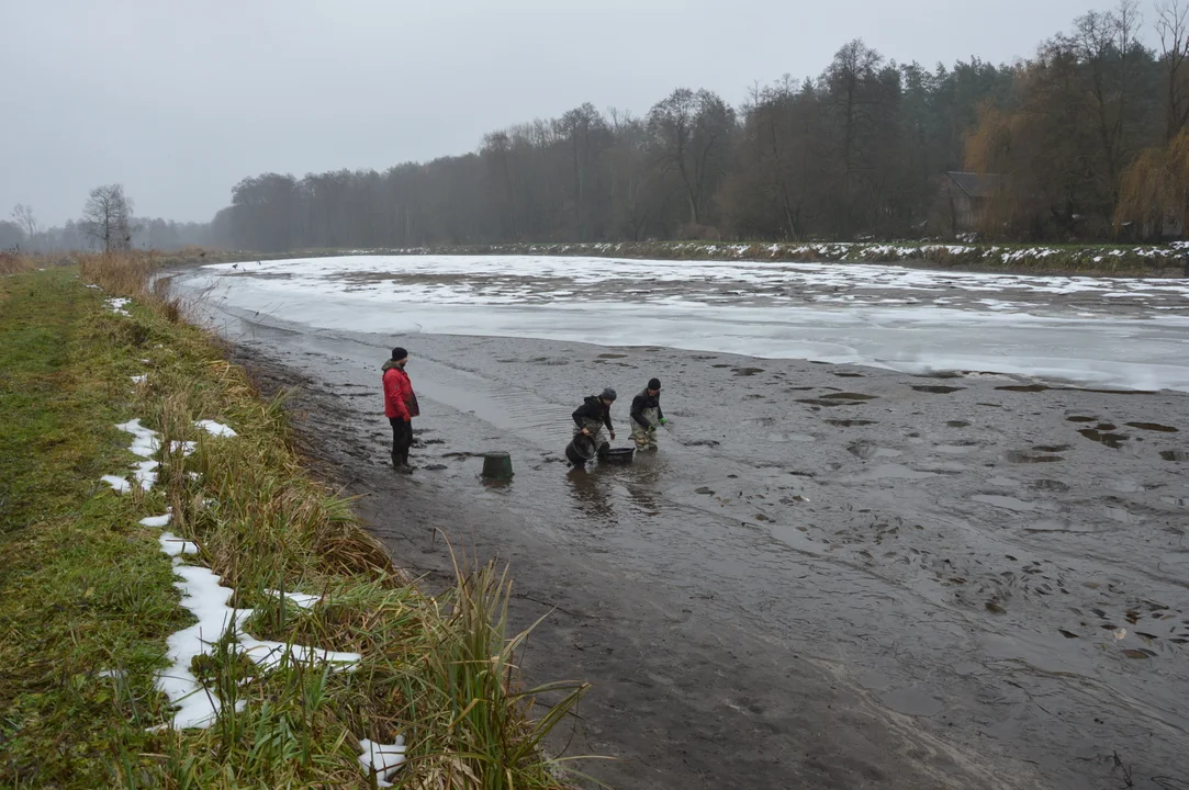 Gospodarstwo rybackie "Karp z Borowa"