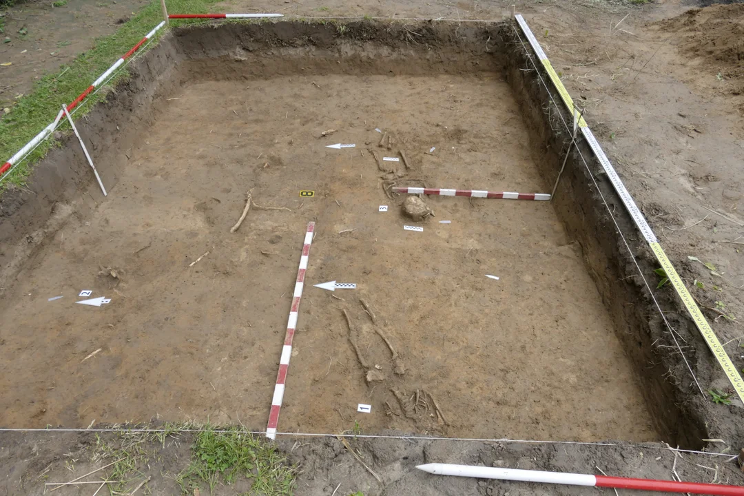 Lublin: Niezwykłe odkrycie w Ogrodzie Botanicznym UMCS. Znaleziono pozostałości cmentarzyska i fragment budowli