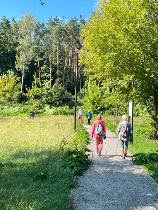 Nordic Walking Seniorów