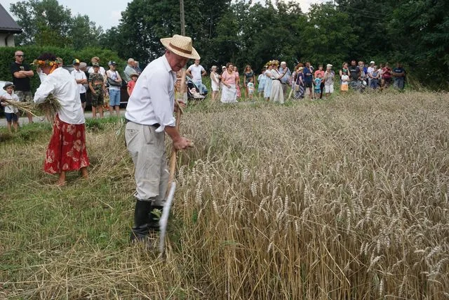 Żniwa w Bronicach