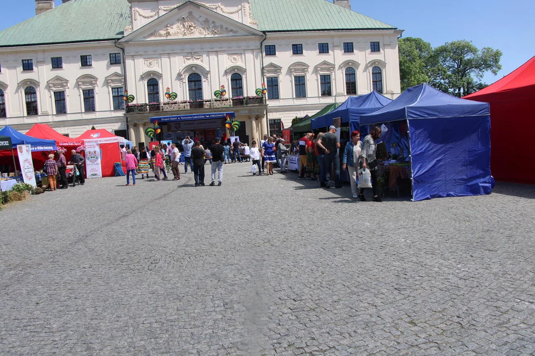 Ekopiknik w Lubartowie i Bitwa Regionów